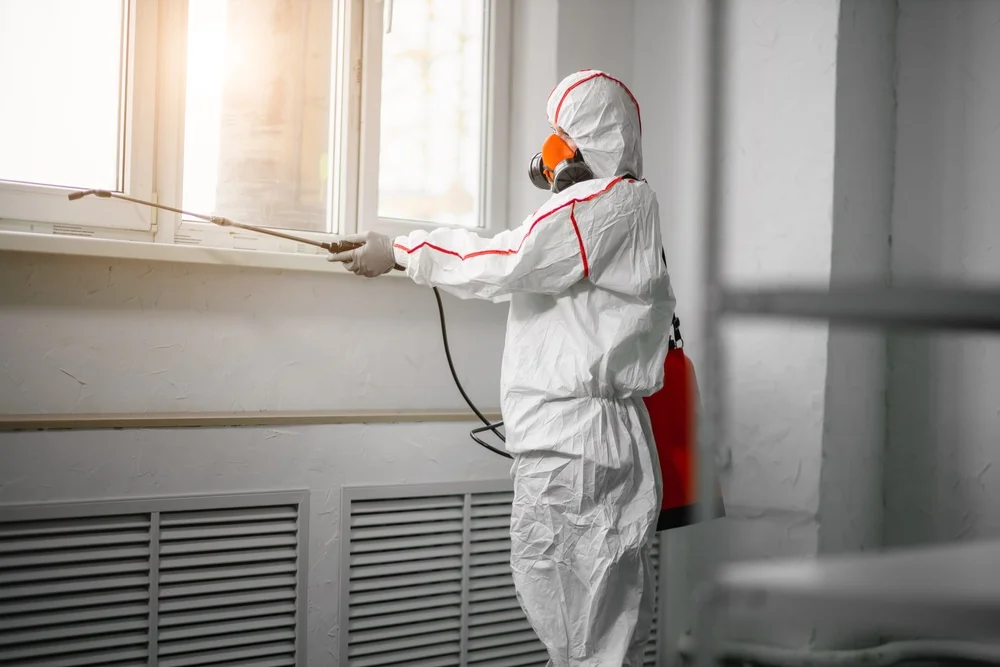 Professional mold remediation services in Vinita, OK